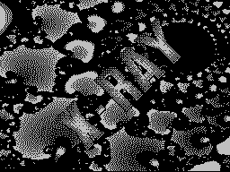 X-Ray #01