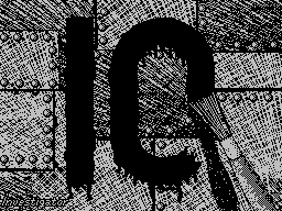 Netus News #10
